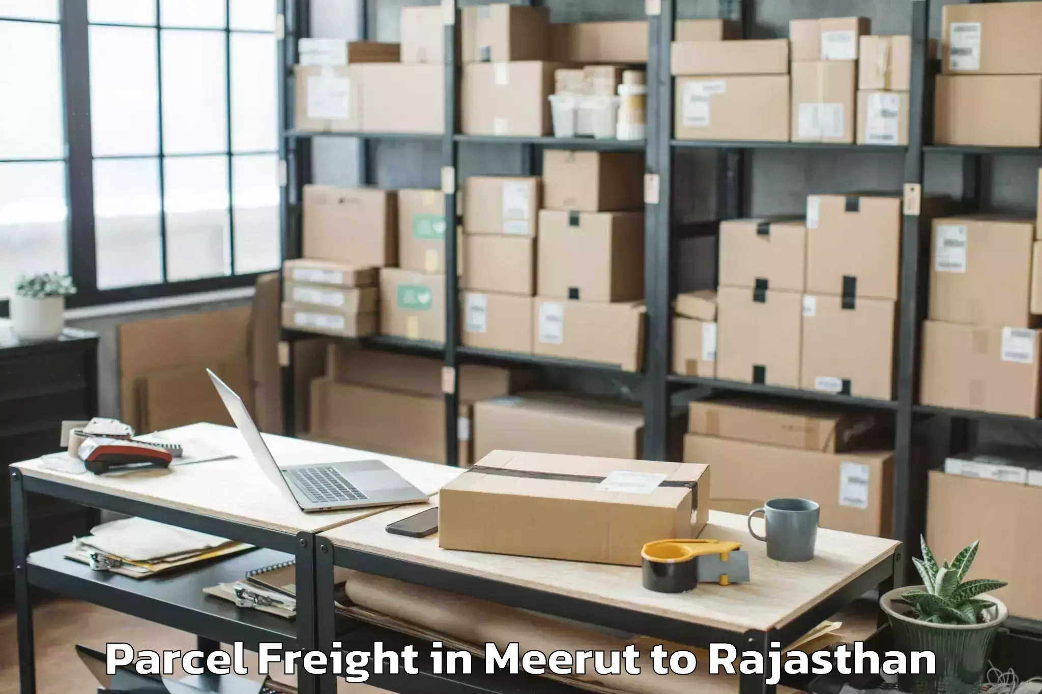 Discover Meerut to Aspur Parcel Freight